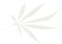leaf h20
